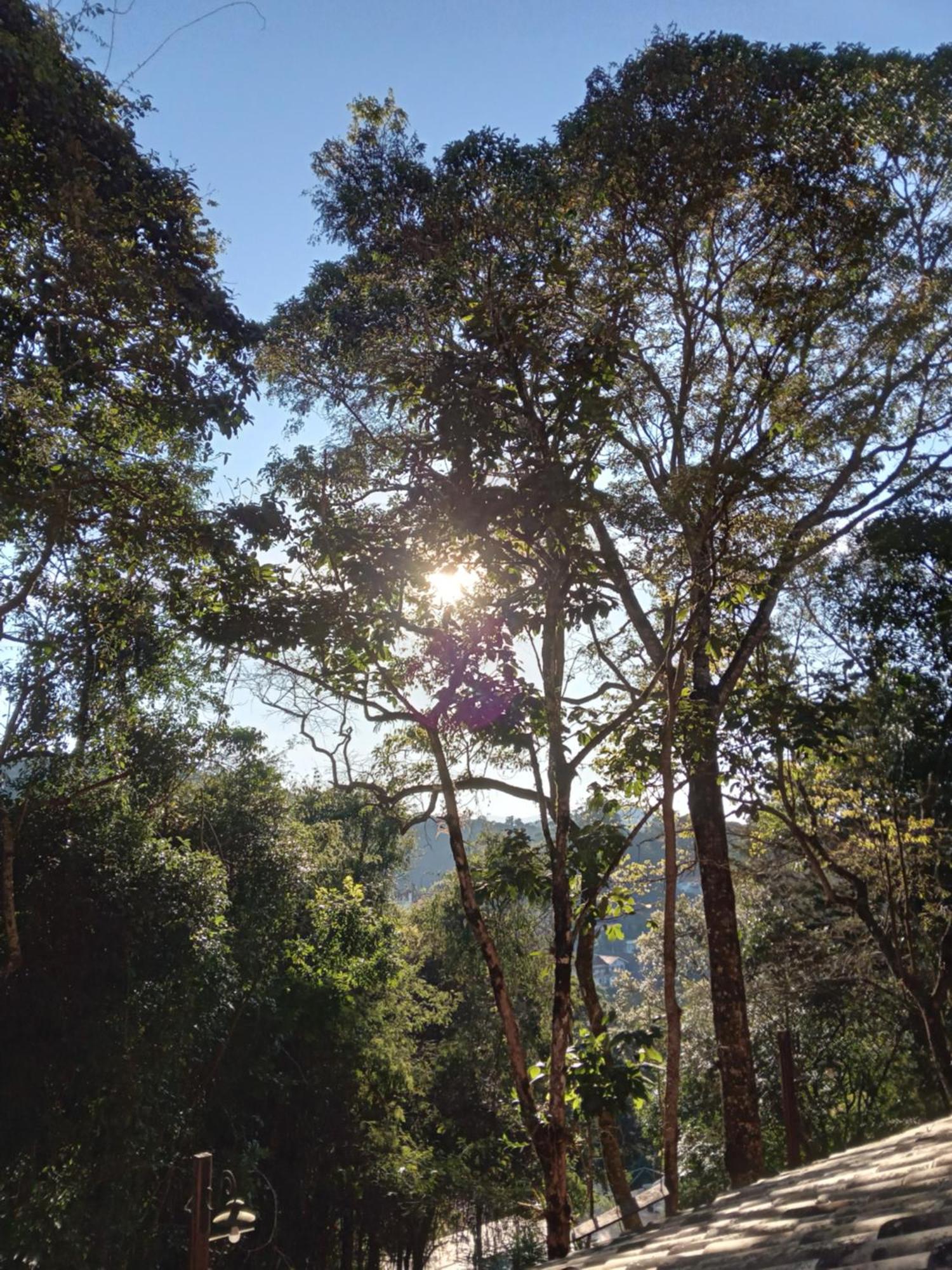 Pousada Le Lieu Santo Antônio do Pinhal Esterno foto